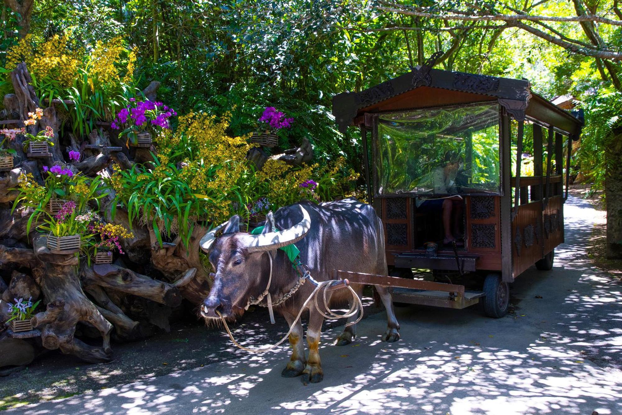 Villa 新規オープン サウナ Bbq ジャグジー付き 最大7名 無料駐車場4台 ビーチまで車で5分 Sky House à Uruma Extérieur photo